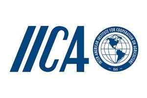 IICA