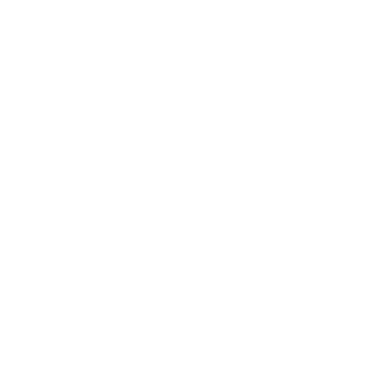 AMES